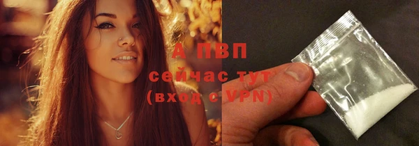 a pvp Бикин