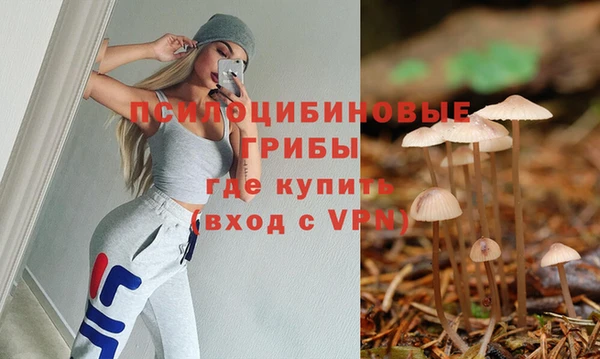mdpv Билибино