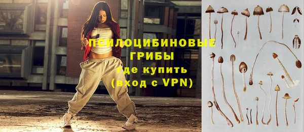 mdpv Билибино