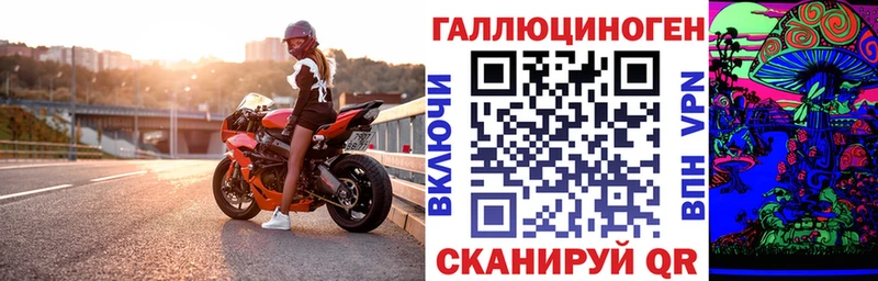 дарнет шоп  МЕГА онион  Галлюциногенные грибы GOLDEN TEACHER  Камышлов 