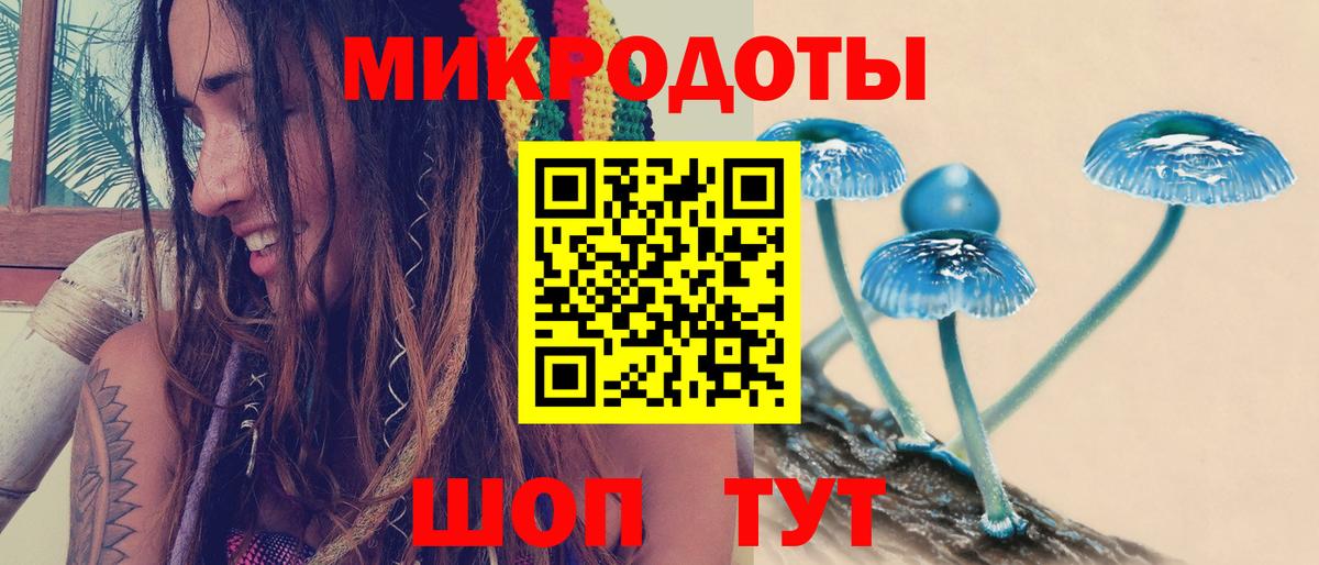 Камышлов  Псилоцибиновые грибы ЛСД  Галлюциногенные грибы ЛСД  Вход с VPN 