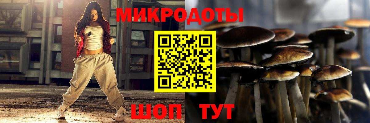 Псилоцибиновые грибы мухоморы Камышлов